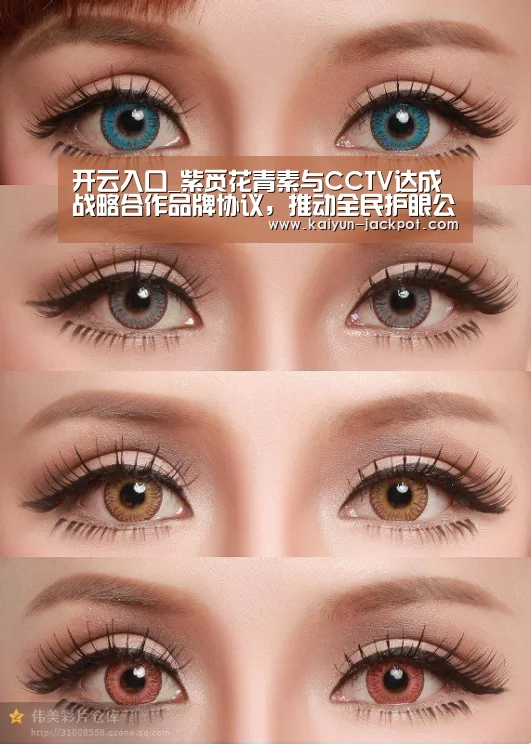 开云入口
