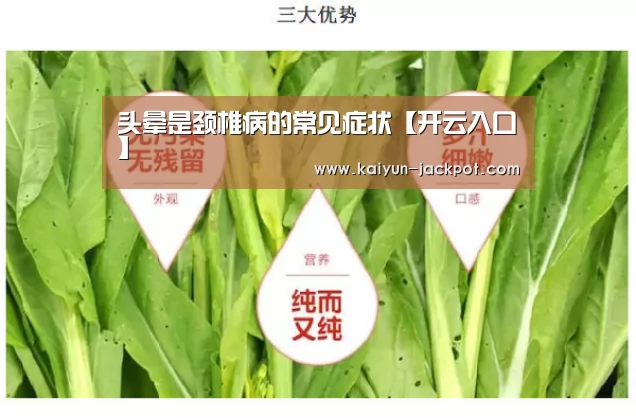 开云赛事