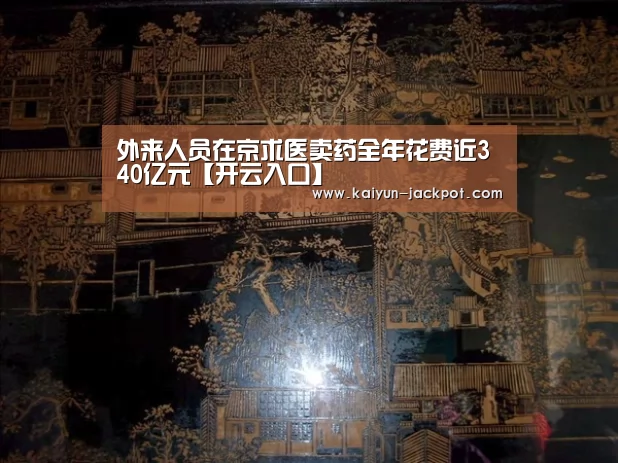 外来人员在京求医卖药全年花费近340亿元【开云入口】(图4) 开云赛事