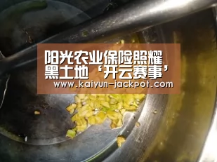 开云推荐