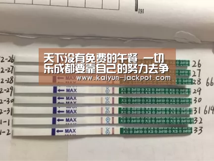 天下没有免费的午餐 一切乐成都要靠自己的努力去争取|开云APP(图2) 开云赛事