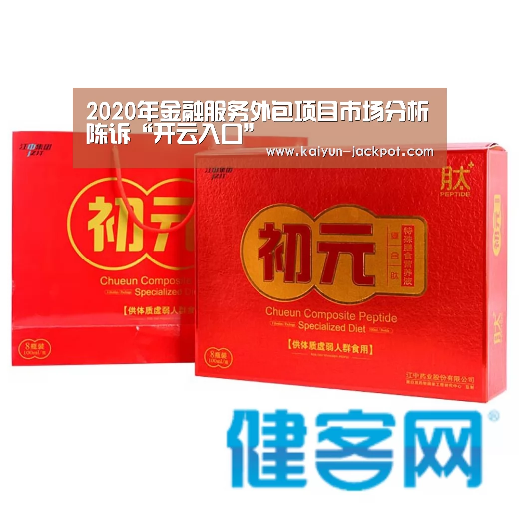 2020年金融服务外包项目市场分析陈诉“开云入口”(图2) 开云入口