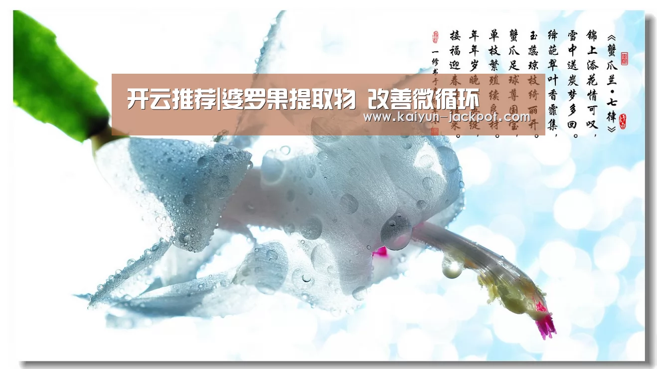 开云推荐|婆罗果提取物 改善微循环(图2) 开云赛事