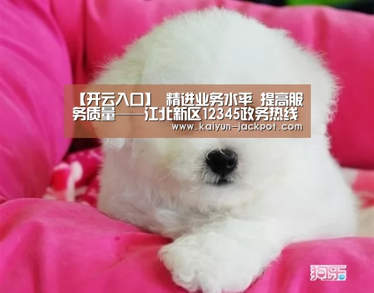 开云赛事