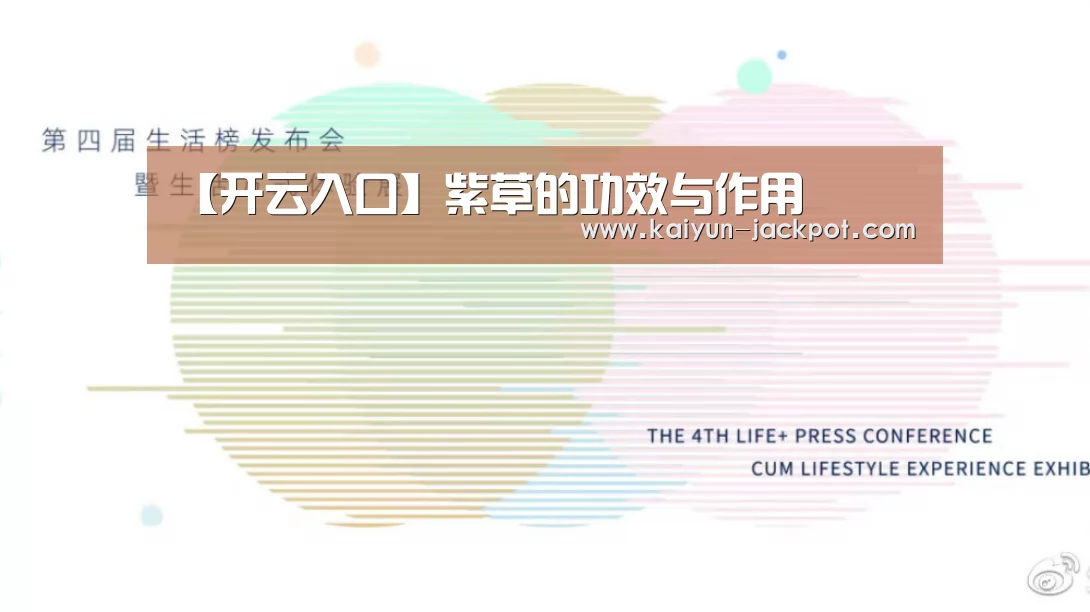 开云入口