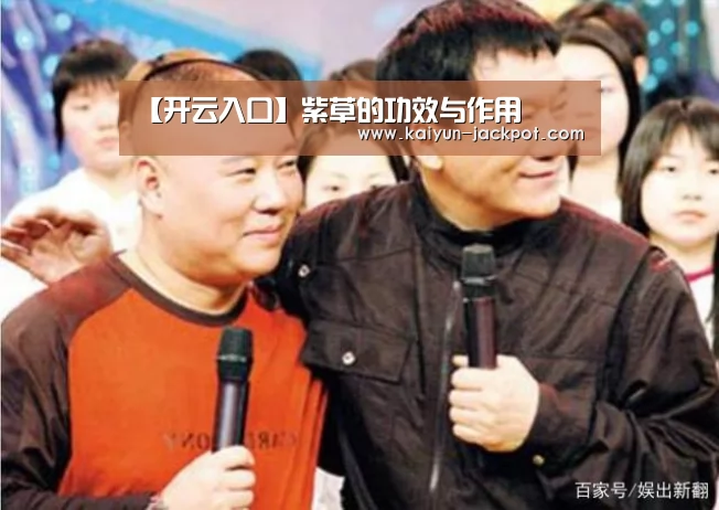 开云入口