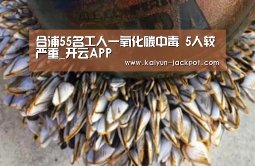 开云赛事