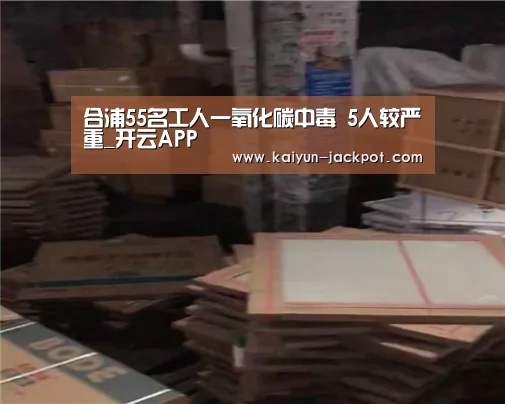 开云APP