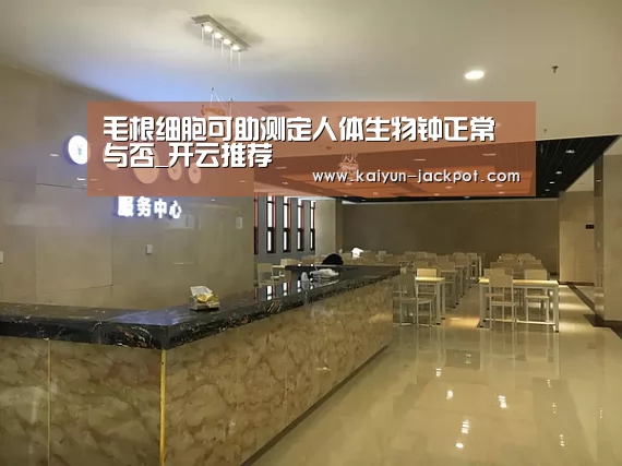开云APP