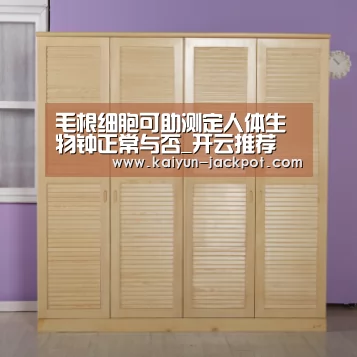 开云推荐