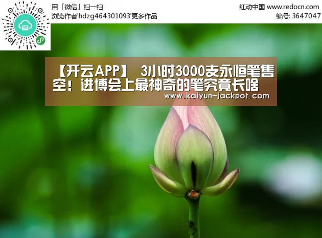 开云赛事